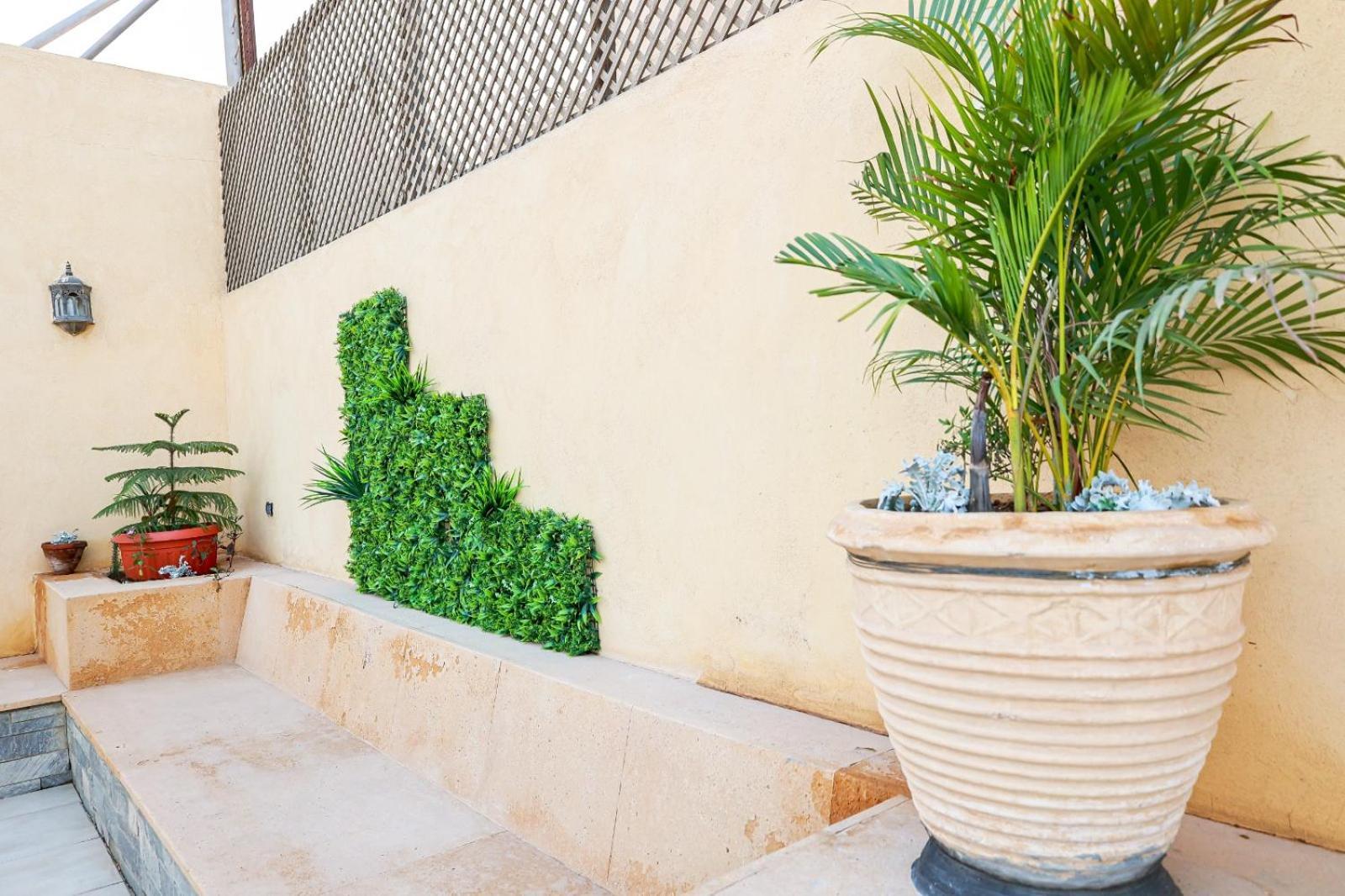 Luxurious With Terrace In New *